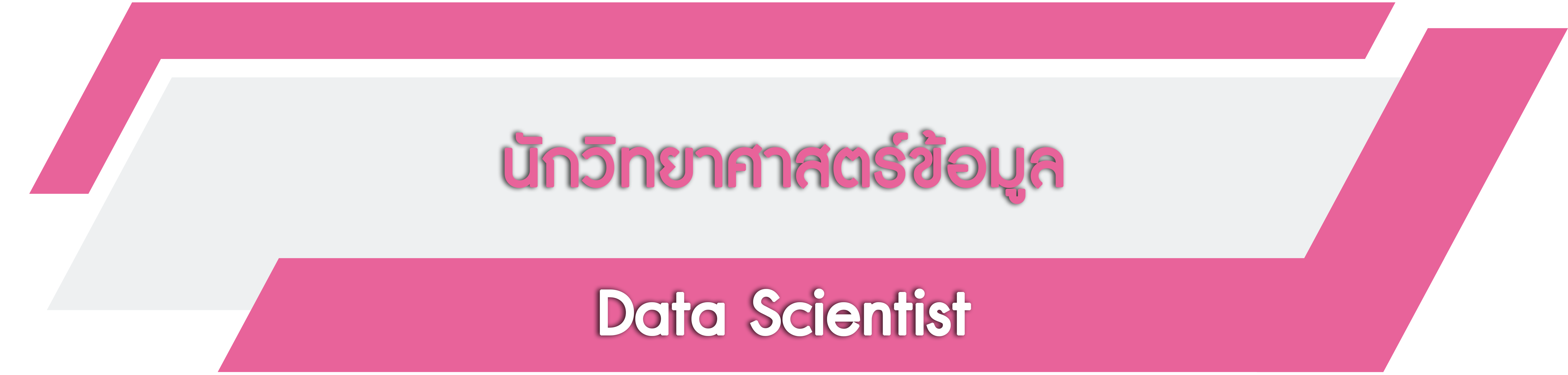 DataScientist