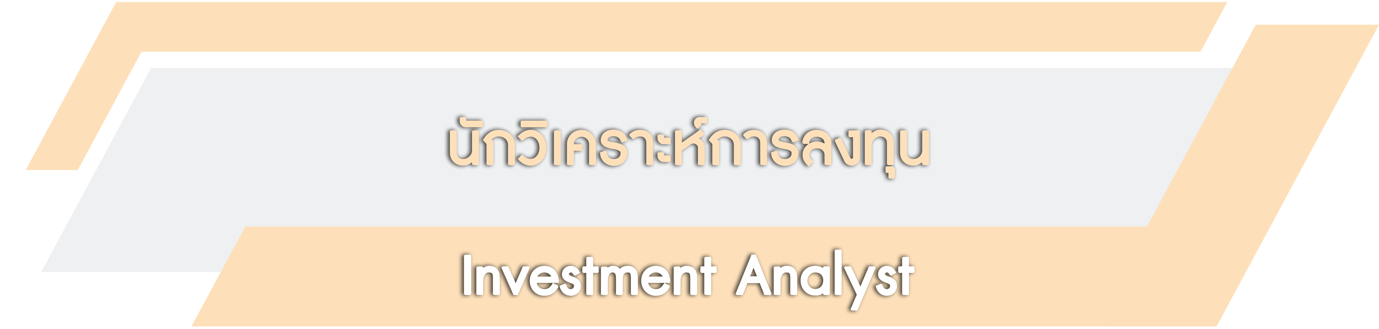 InvestmentAnalyst