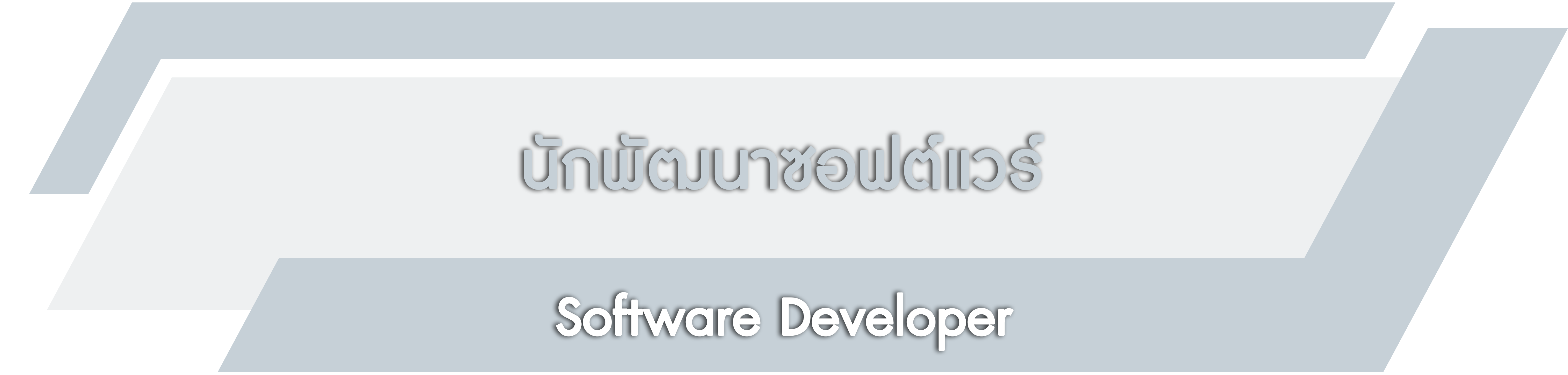 SoftwareDeveloper