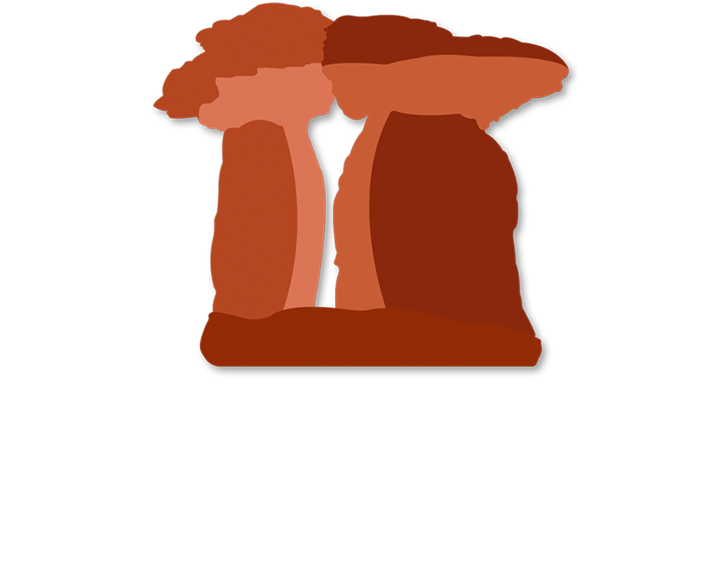 icon 04